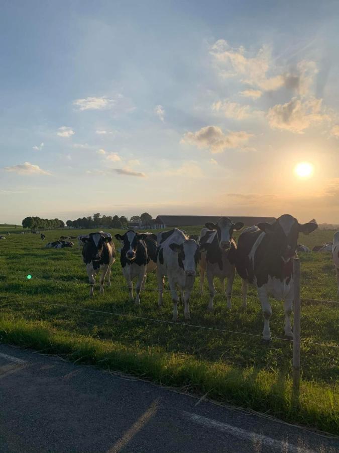 Vik Oesterlen Simrishamn Buitenkant foto